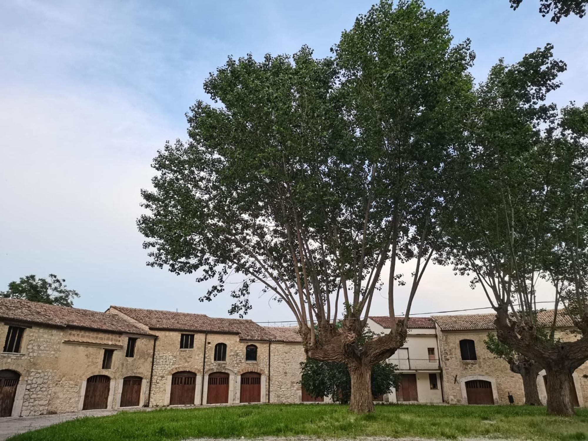 Ferienwohnung Domus Lineker Venafro Exterior foto